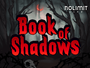 Book Of Shadows thumbnail